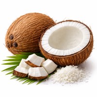 Coconut