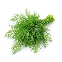 Dill leaves