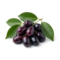 Jamun