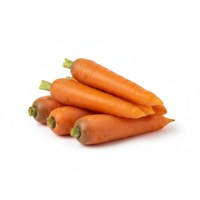 Carrot
